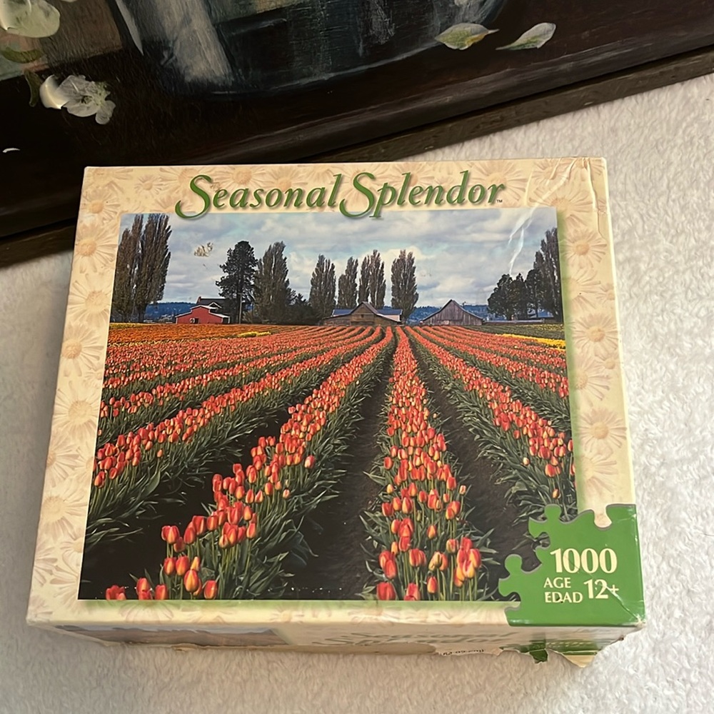 1000 Piece Puzzle